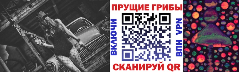 где можно купить наркотик  Красноярск  Галлюциногенные грибы Psilocybine cubensis 